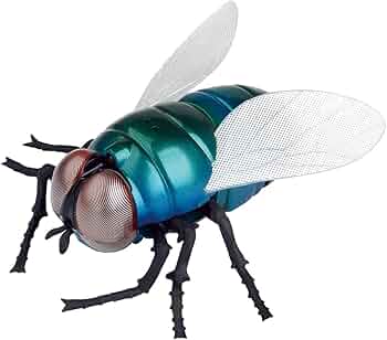 蝿の子供 613In+lJ4QL._AC_UF350,